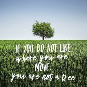 move, you are not a tree