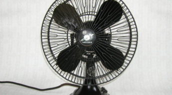 Fan